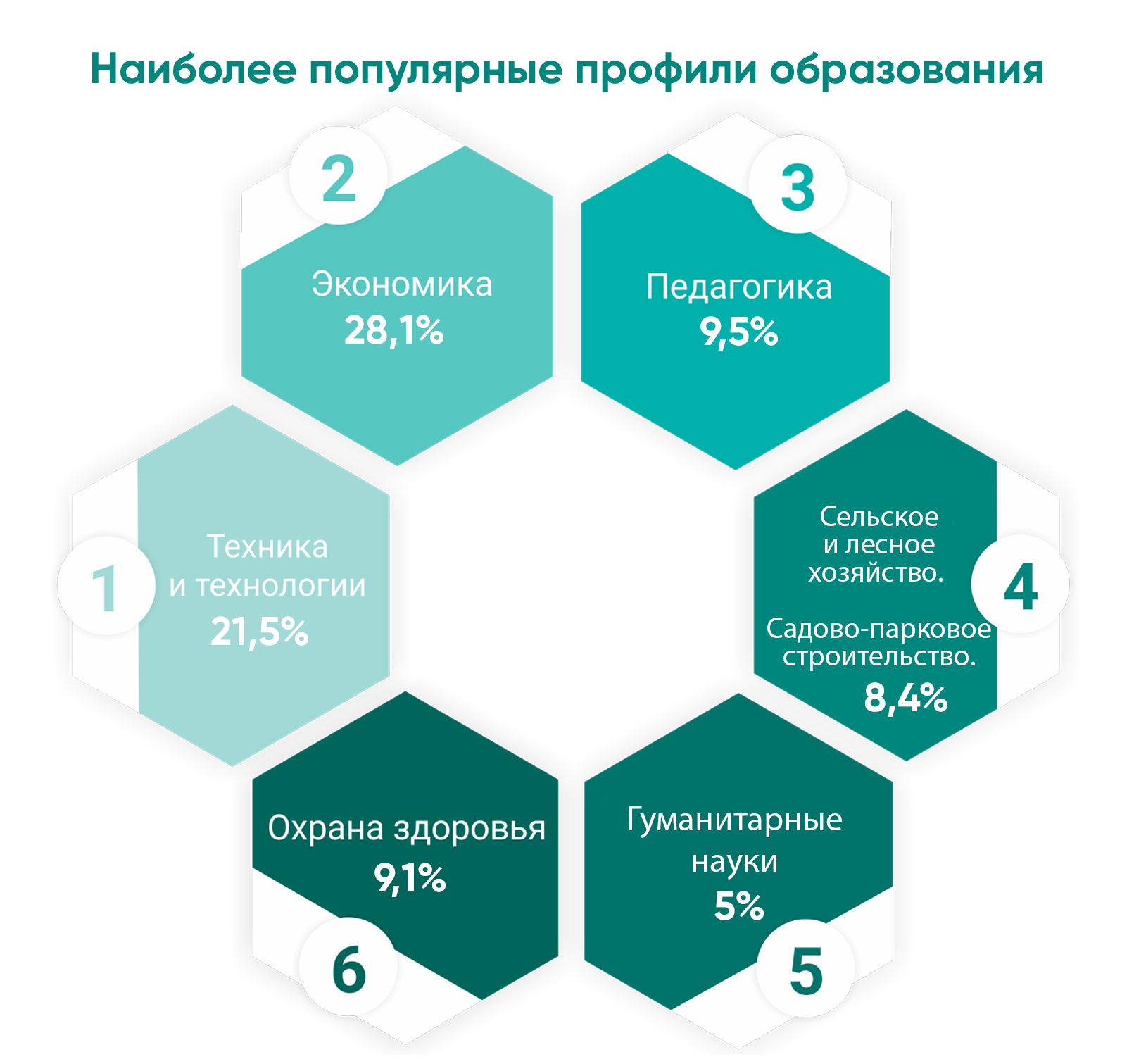  Профили_обучения-900x862.png